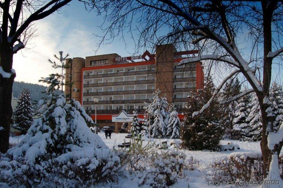 Hotel Park Dolny Kubin Exterior photo